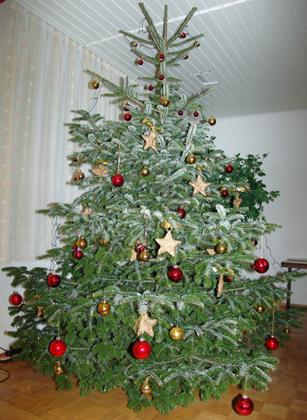 Der Weihnachtsbam