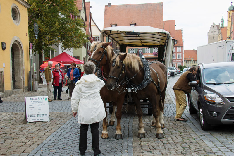 Pferdekutsche in Dinkelsbühl